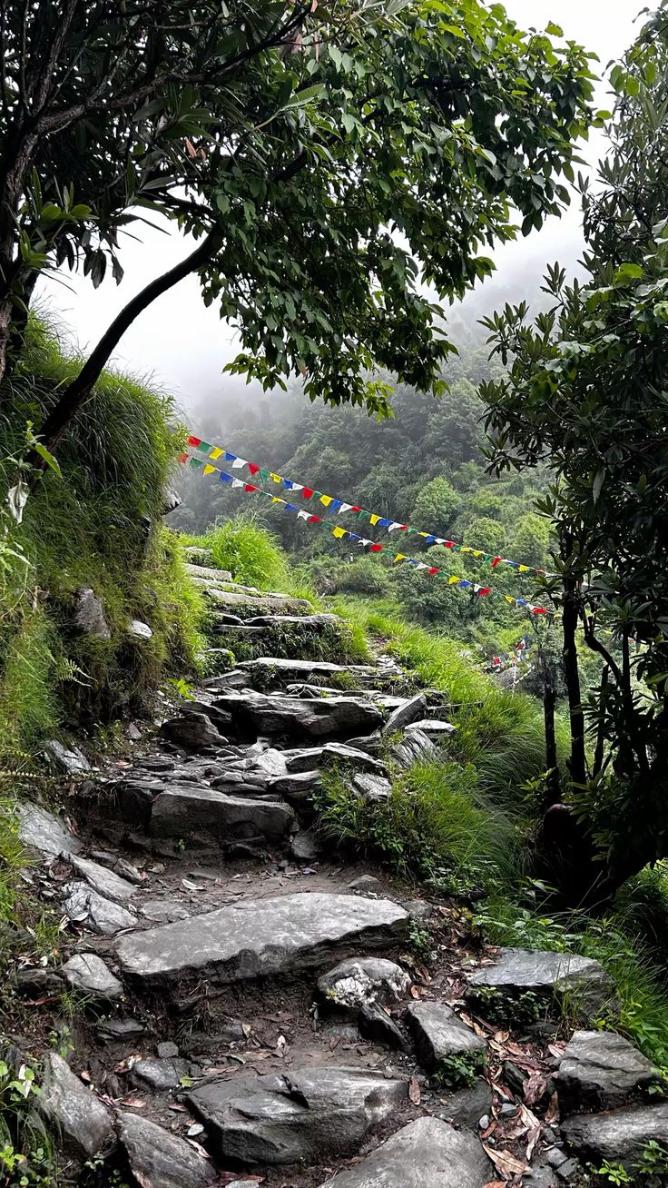 mountain treks with  views like this_3.jpg